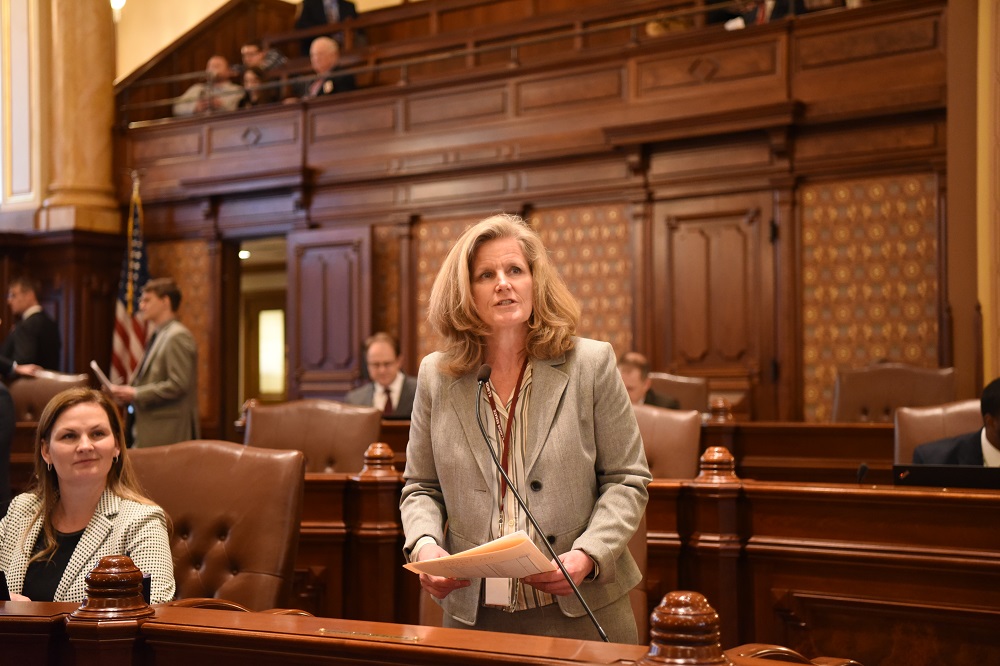 Senator Laura Ellman presents her bill on the Illinois Senate floor