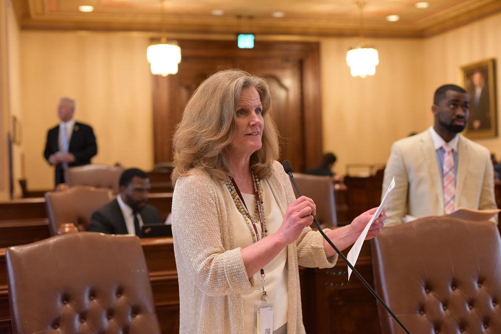 Senator Laura Ellman speaks on the Senate floor