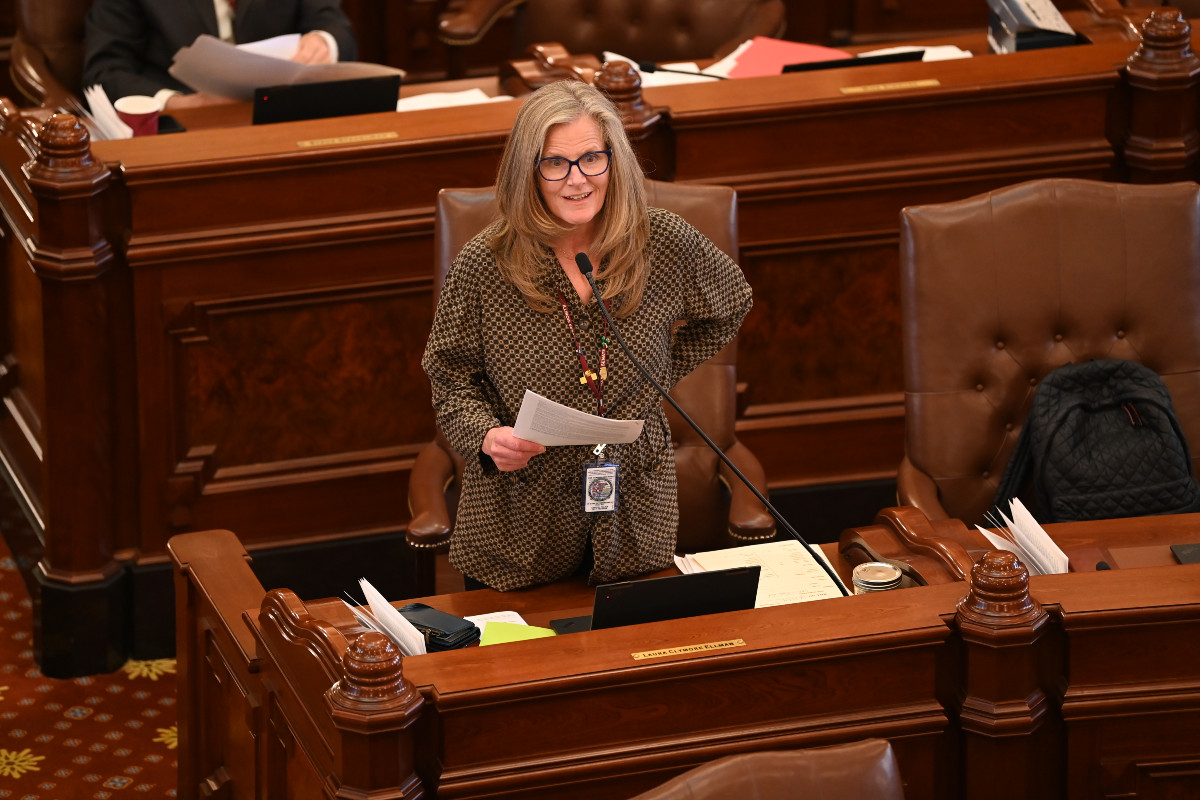 State Senator Laura Ellman