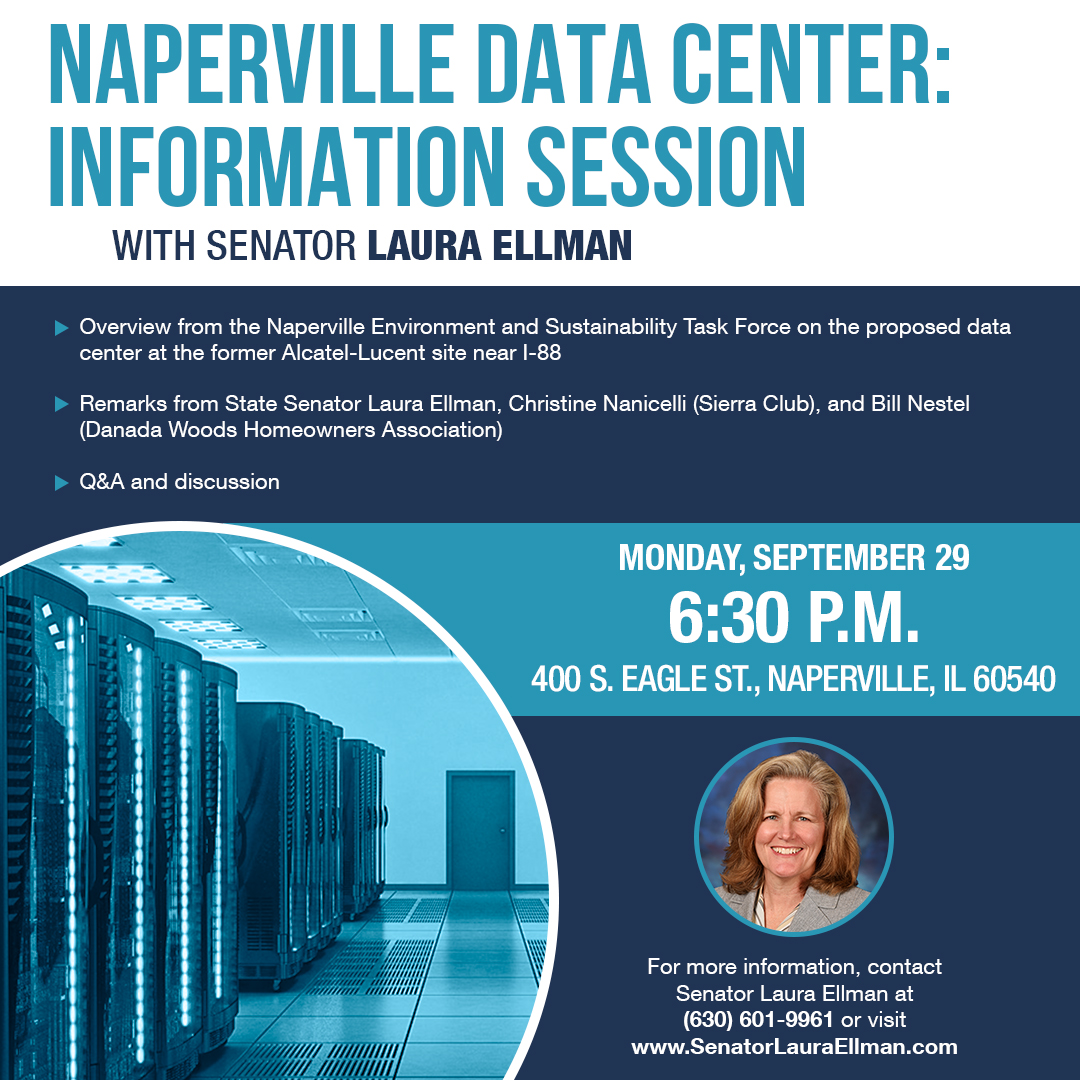 Ellman NapervilleDataCenter 2025 IG